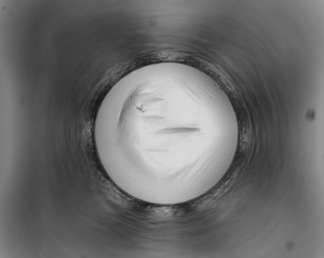 X0000099420473200805301411