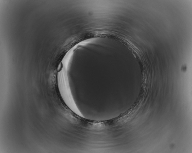 X0000099420475200805301411