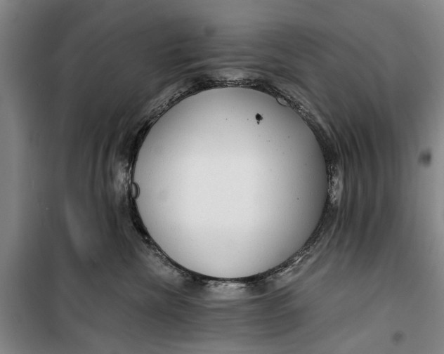 X0000099420476200805301411