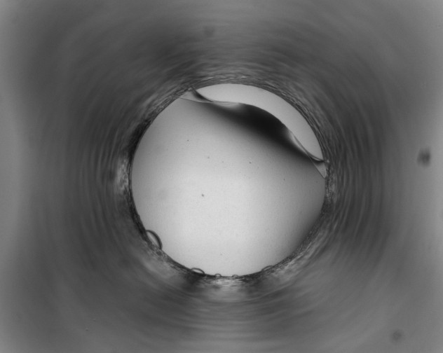 X0000099420478200805301411