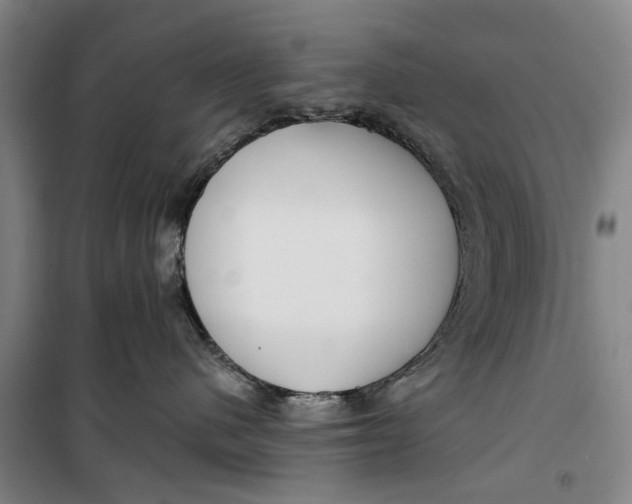 X0000099420480200805301411