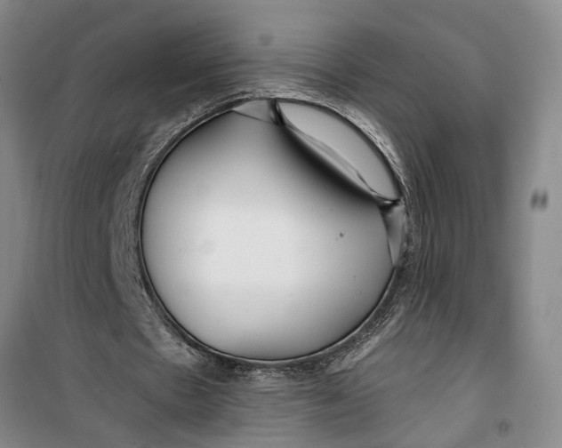 X0000099420481200805301410