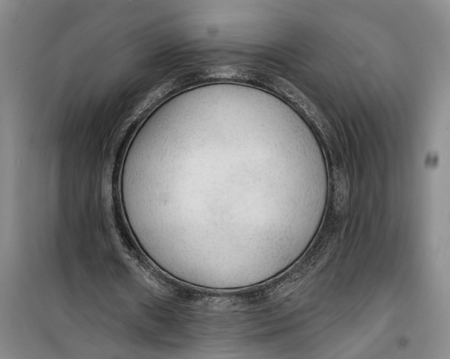 X0000099420482200805301410