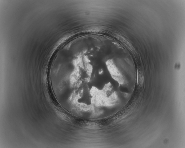 X0000099420483200805301410