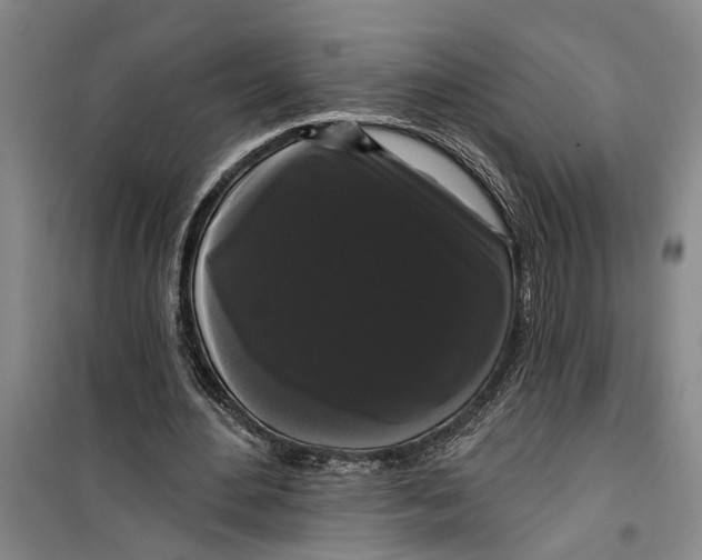 X0000099420484200805301410