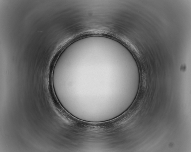 X0000099420486200805301410