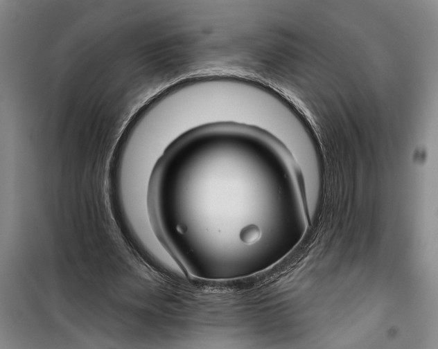 X0000099420487200805301410