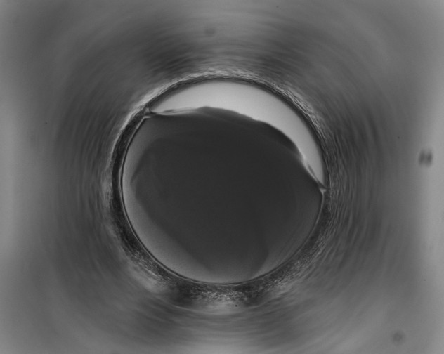 X0000099420488200805301410