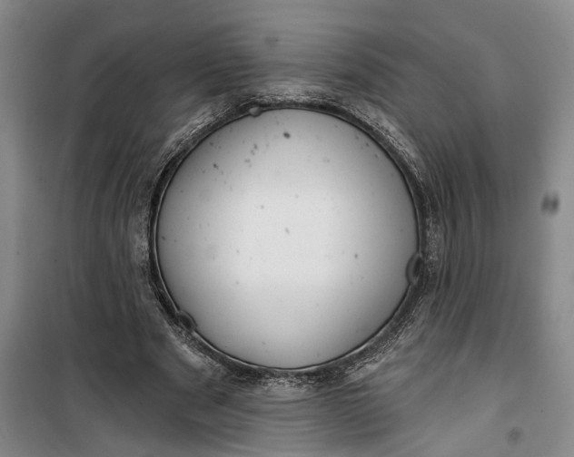 X0000099420489200805301410