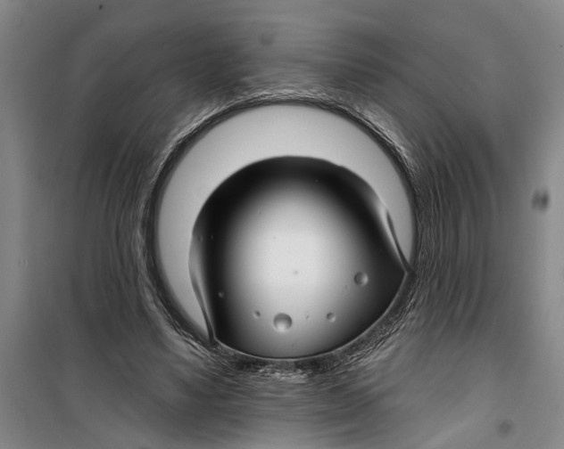 X0000099420491200805301410