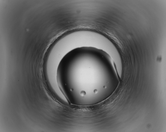 X0000099420492200805301410