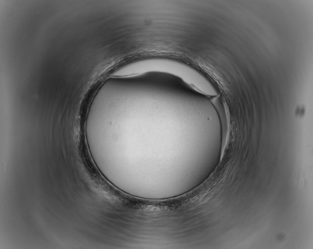 X0000099420494200805301410