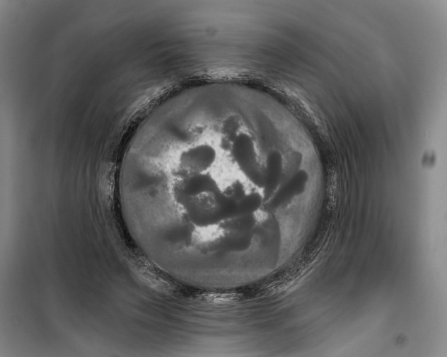 X0000099420495200805301410