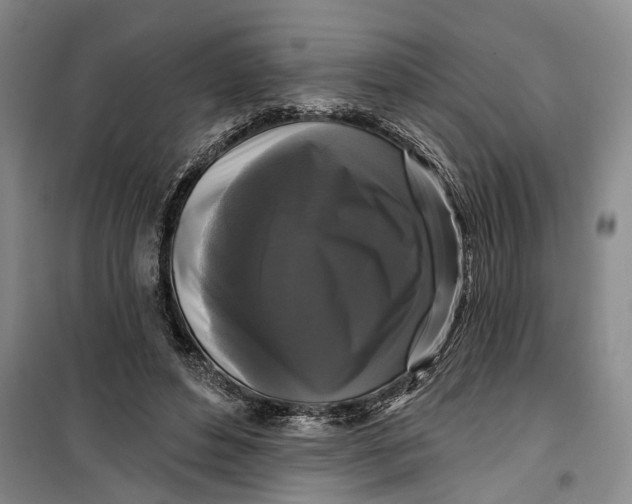 X0000099420496200805301410