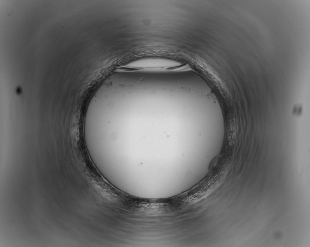 X0000099420497200805301410