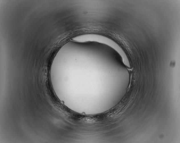 X0000099420498200805301410