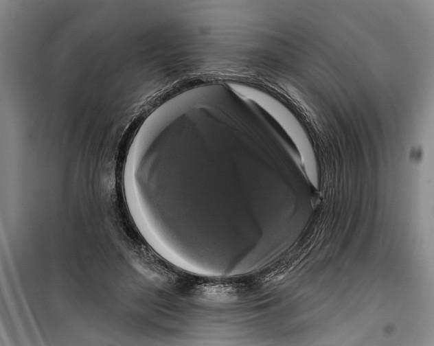 X0000099420500200805301410