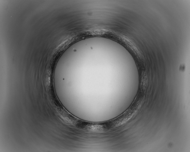 X0000099420501200805301410