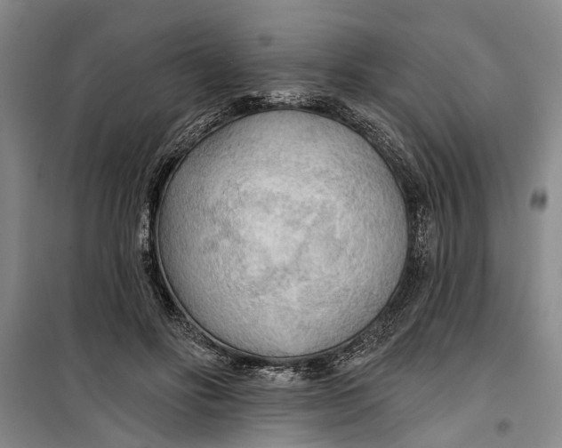 X0000099420502200805301410