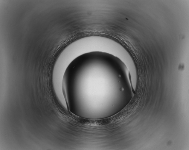 X0000099420503200805301410