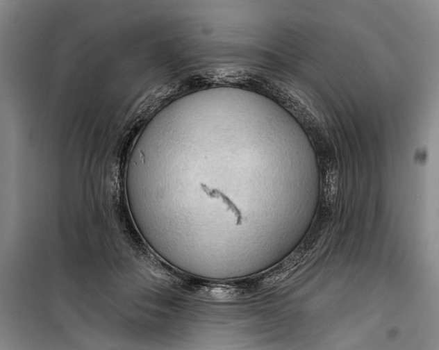 X0000099420506200805301410