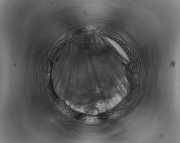 X0000099420507200805301410