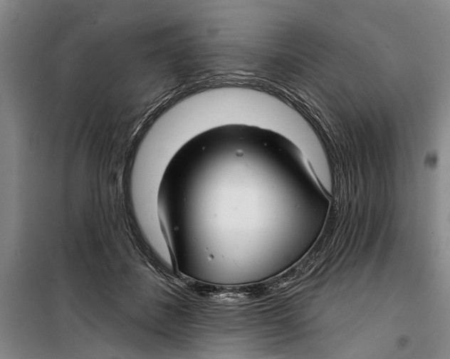 X0000099420508200805301410