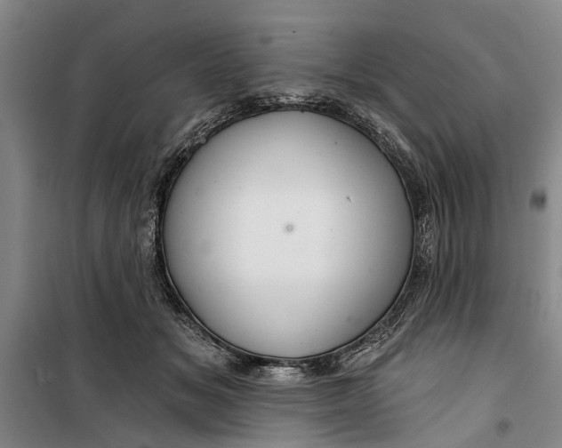 X0000099420509200805301410