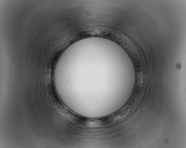 X0000099420510200805301410