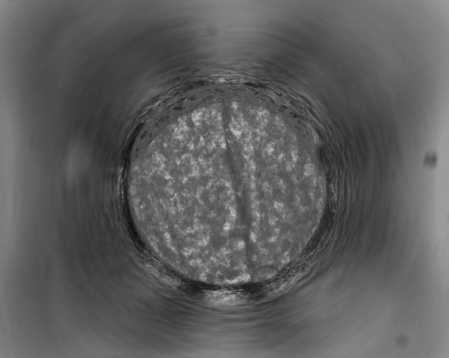 X0000099420511200805301410