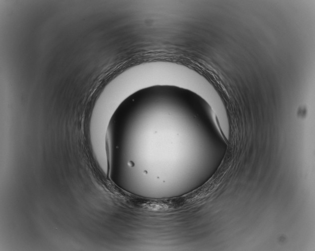 X0000099420512200805301410