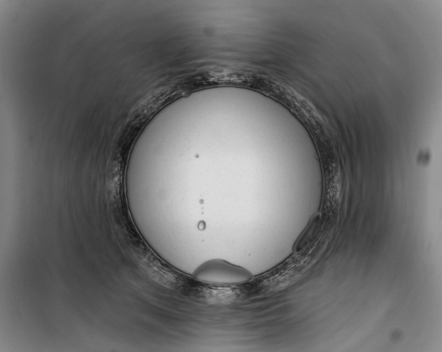 X0000099420513200805301410