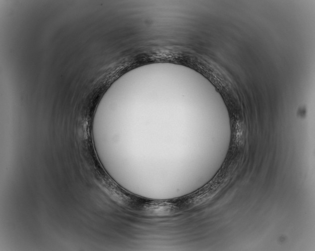 X0000099420514200805301410