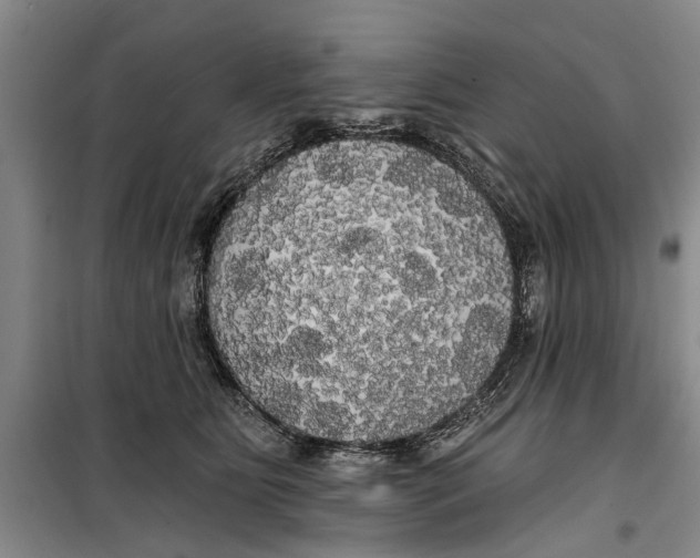 X0000099420515200805301410