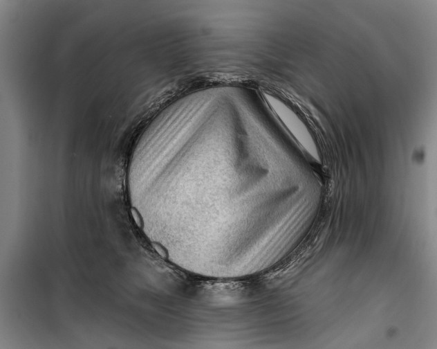 X0000099420517200805301410