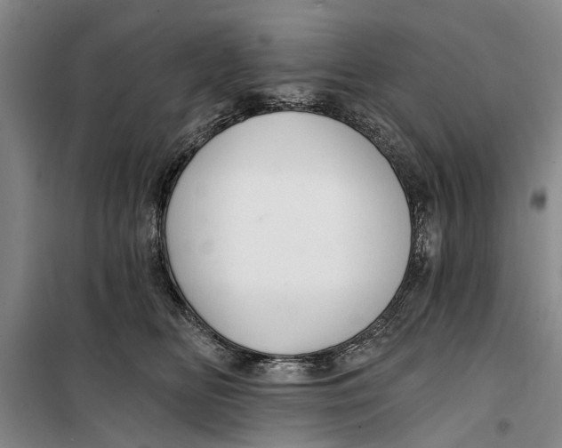 X0000099420518200805301410