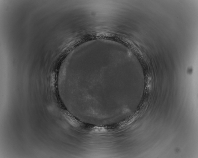 X0000099420519200805301410