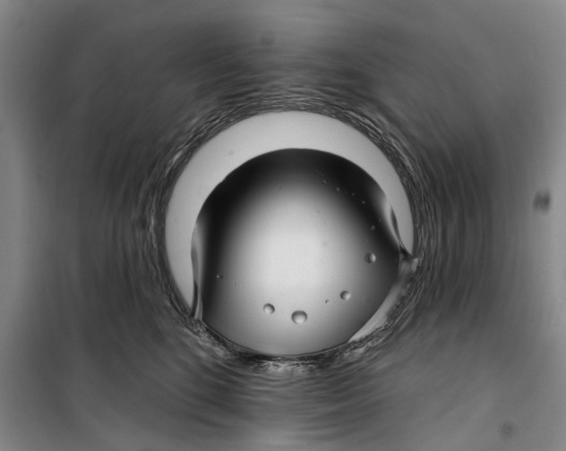 X0000099420520200805301410