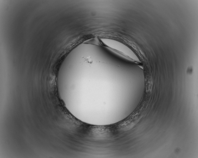 X0000099420521200805301410