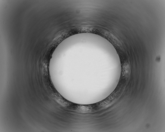 X0000099420522200805301410