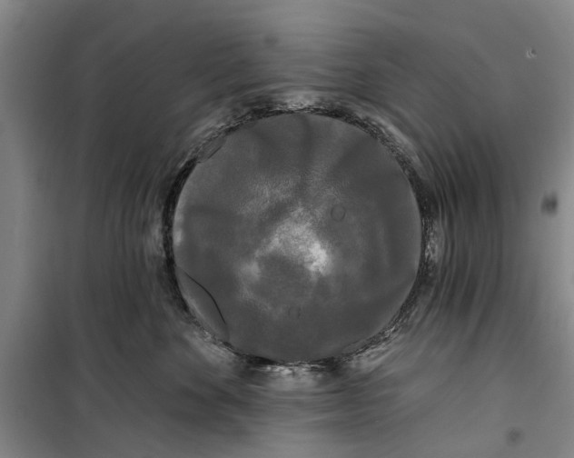 X0000099420524200805301410