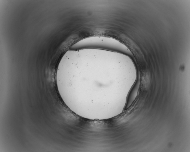 X0000099420525200805301410