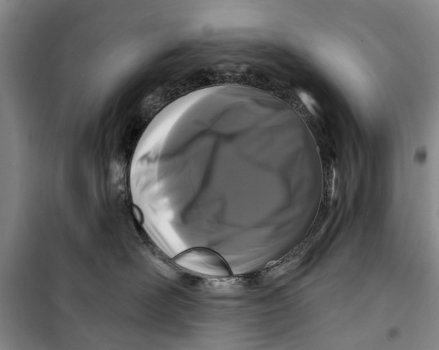 X0000099420526200805301410