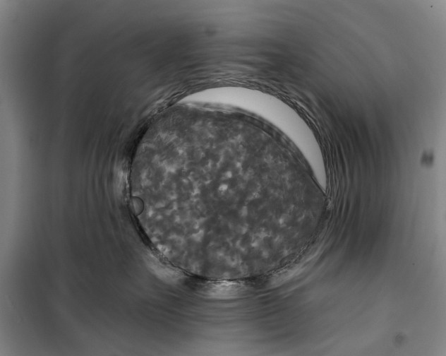 X0000099420527200805301410