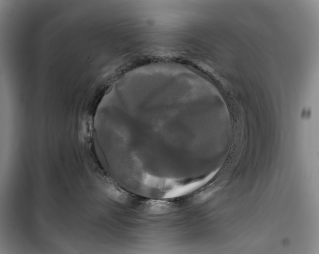 X0000099420528200805301410