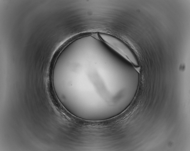 X0000099420532200805301409