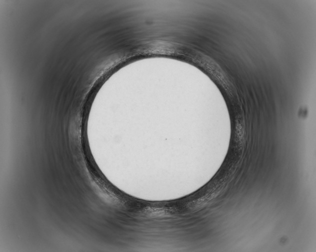 X0000099420534200805301409