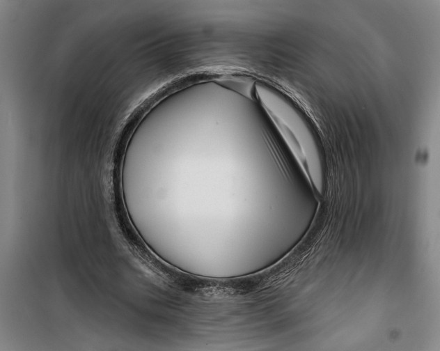 X0000099420535200805301409