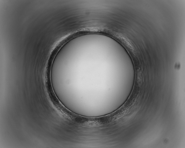 X0000099420536200805301409