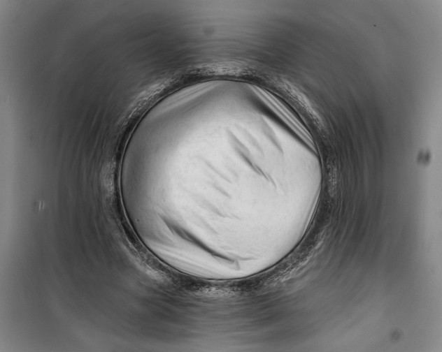 X0000099420537200805301409